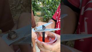 How To Handle Sharp Straws