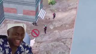 SARILAR MEDİA ŞİRKET pug mobile edit videosu