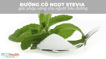 Đường Cỏ Ngọt Stevia – Giải Pháp Vàng Cho Người Tiểu đường