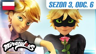 Tatołak Cały Odcinek Po Polsku Sezon 3 Odc. 6 Miraculum Biedronka I Czarny Kot