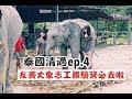 【泰國清邁ep.4】大象友善志工體驗！洗小飛象真的太可愛OMG！