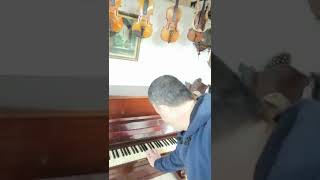 Buseli̇k Müzi̇k Atölyesi̇ Pi̇yano Ud Ve Di̇ğer Ensturman Tami̇ri̇ Bakimi Ders Vb Beşi̇ktaş/ İstanbul.