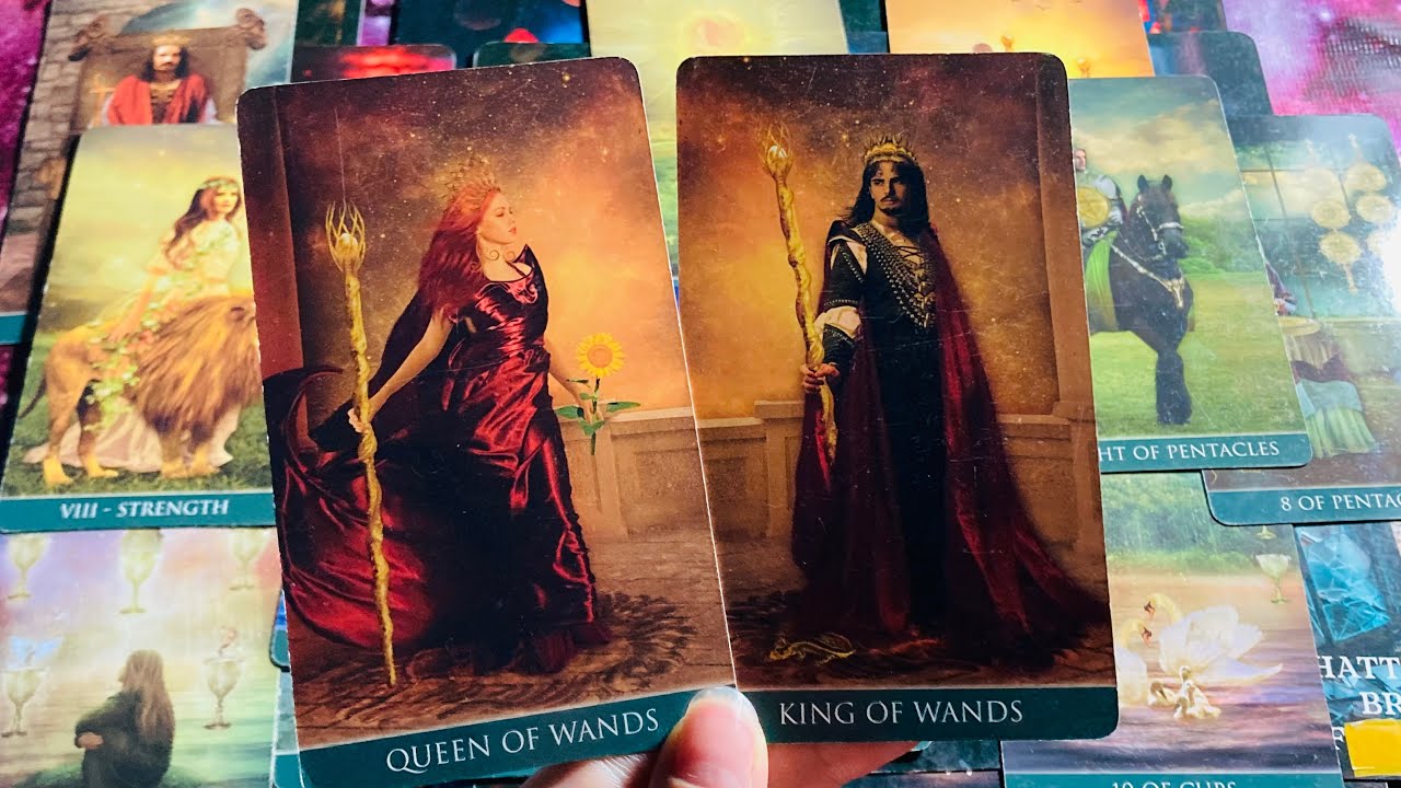 Their Feelings Thoughts & Next Action 💜💜 Timeless Tarot 🩵🩵 Hindi-Urdu 💜💜