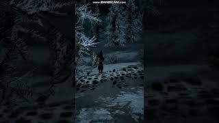 Random running. Skyrim. TES V.