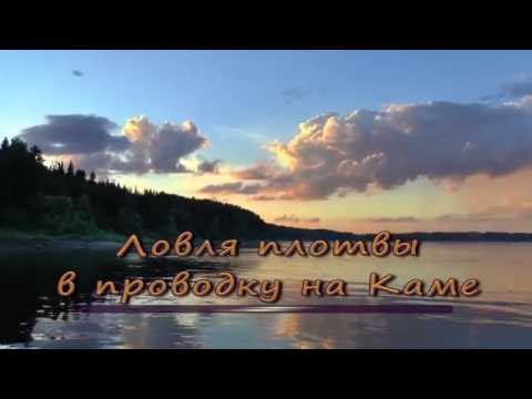 ловля уклейки на каме