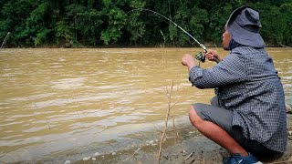 Pemancing Tayo Dahsyat Tarikan Ikan Mahal Sampai Reel 800 Menjerit