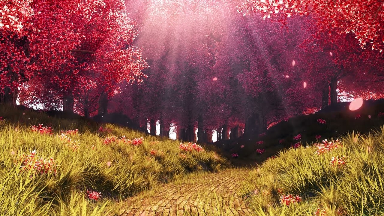 Music for Inner Piece and Harmony in 432Hz •  Relaxing Music, Meditation Music, Sleeping Music
