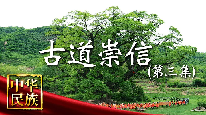 《中华民族》 古道崇信 第三集 新韵：三千岁古槐见证农业文明与乡村文明新变化 20190422 | CCTV - 天天要闻