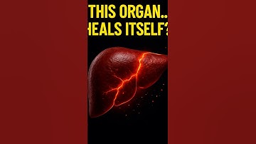 This Organ Can Regrow Itself… But Doctors Don’t Talk About It! 🧠🧬 #shorts #viral