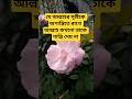 সৈয়দ মূকাররাম বারি ওয়াজ #trendingshorts #nature #motivation #america #vlog #hearttouching