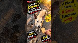 Poor dogs were hungry 🐕 Feed and rescue stray dogs part 2 #feed #stray #dog