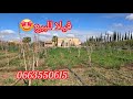 🔻فيرمة تتر مجهزة للبيع🌳 نواحي مراكش📌موقع جد ممتاز، اطلالة على جبال الاطلس🏔 0663550615☎️ 