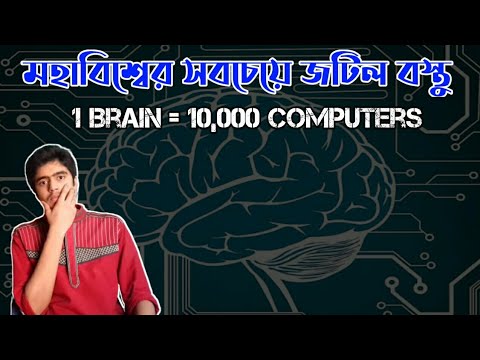 Human Brain || Most Complex Machine In The Universe || fact & fiction বাংলা || PJPAF