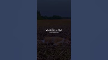 🔊 آية تهز القلب.. تلاوة قصيرة لا تُنسى 💔📿 #قرآن #تلاوة_خاشعة #Quran