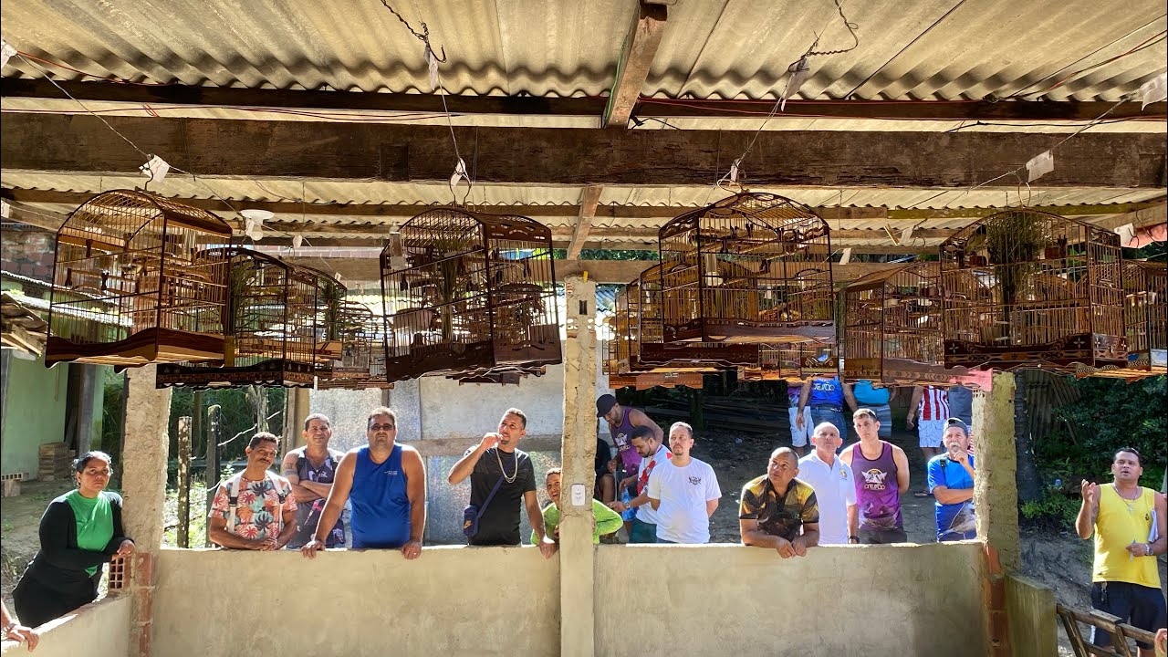 BADERNA DE COLEIRO E PAPA CAPIM  PARA ESQUENTAR O SEU