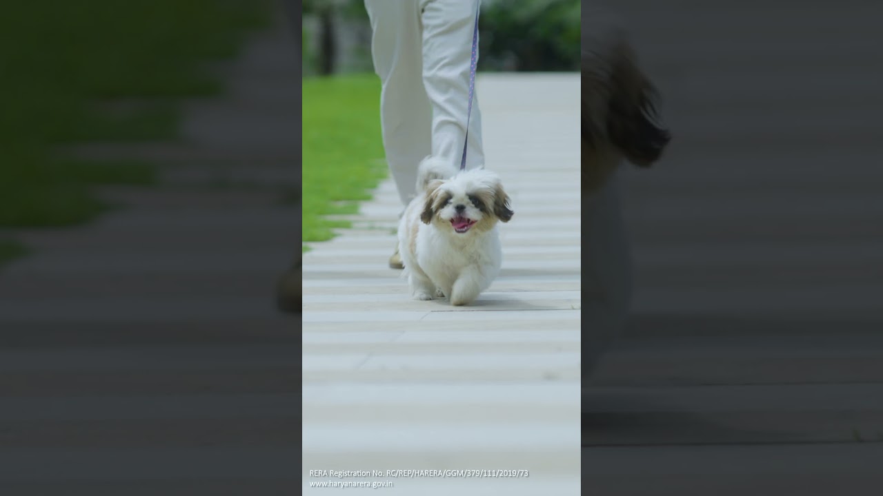 Bellavista Residences by Central Park