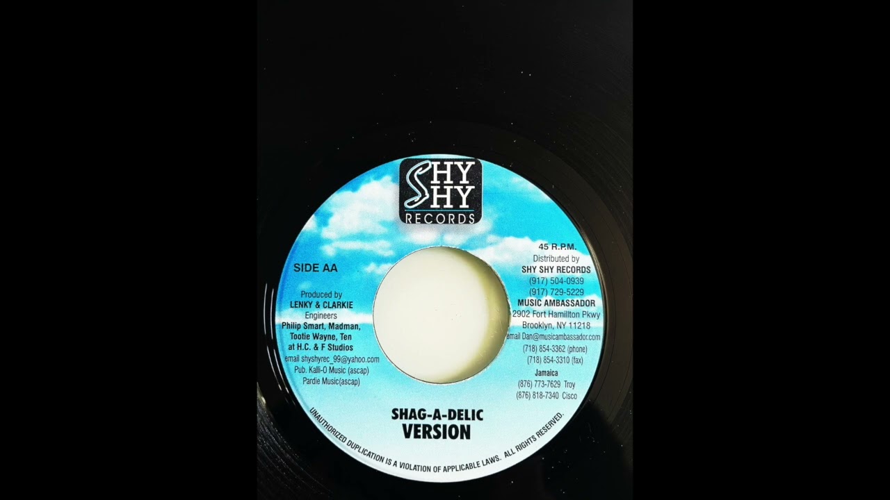 Shag-A-Delic Riddim (Shy Shy Records, 2000)
