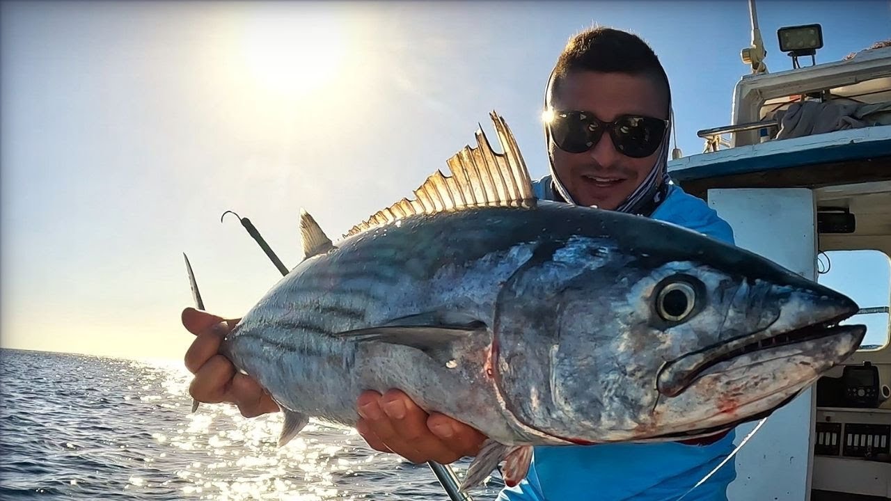 Nunca he pescado tanto. La técnica que FUNCIONA en cualquier lugar.