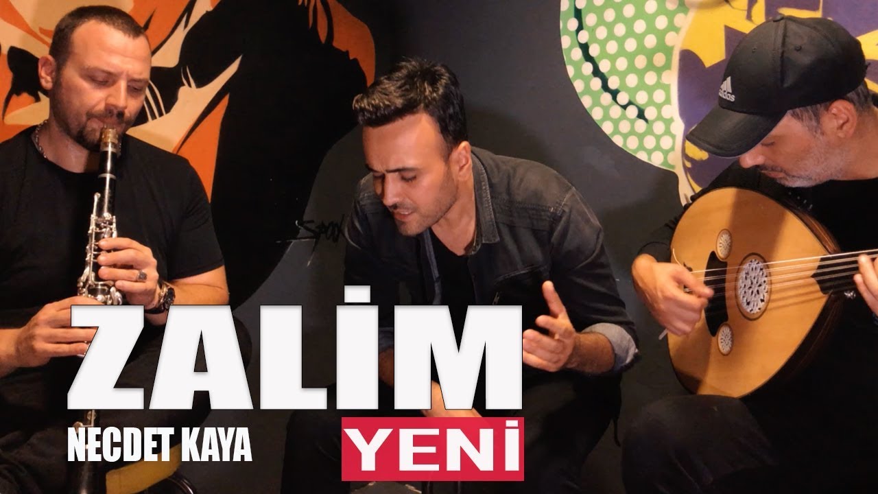Necdet Kaya - Zalim (Anlamıyorsun gönül derdinden) Akustik