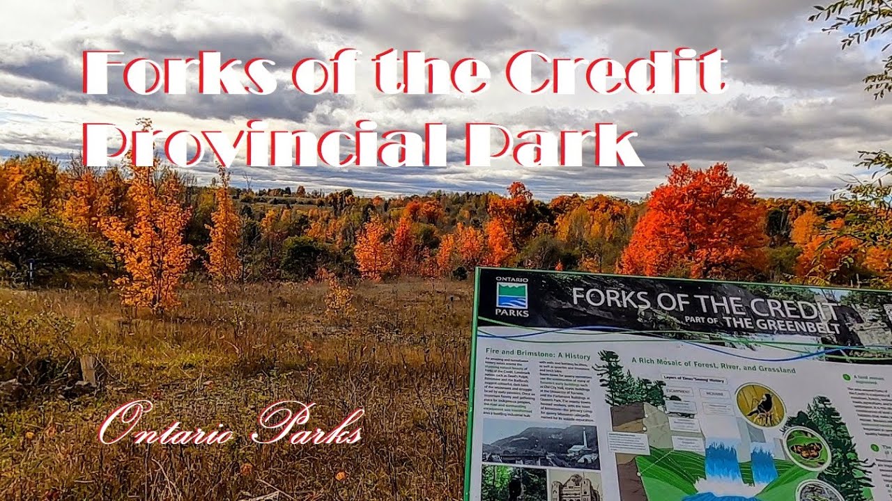 Breathtaking Fall Colours: Forks of the Credit Provincial Park - YouTube