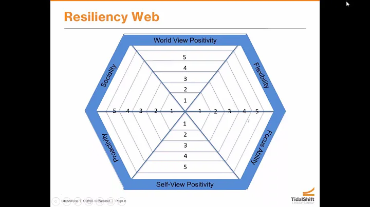 Coping with COVID 19 Stress and Anxiety (v2) - by Reginald Scotland