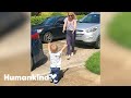 Watch toddler's amazing reaction to seeing grandparents | Humankind