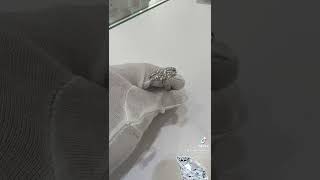 IMG 1343