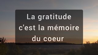 Les meilleures citations de gratitude ✨💫