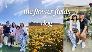 family day out | visiting the flower fields at carlsbad Update