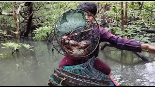 SEEING CRAB TRAP IN KALIMANTAN MANGROVE FOREST 2022