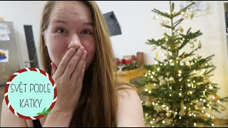 Noční zdobení stromečku | VLOGMAS Den 18.