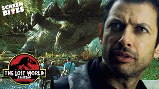 Stegasaurus Sighting with Jeff Goldblum | The Lost World: Jurassic Park (1997) | Screen Bites
