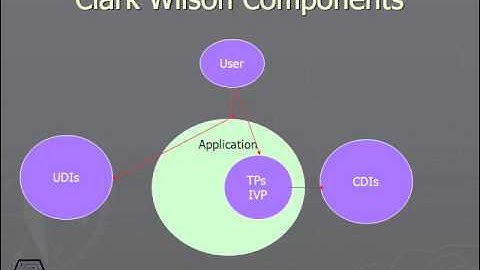 460 Clark Wilson Model