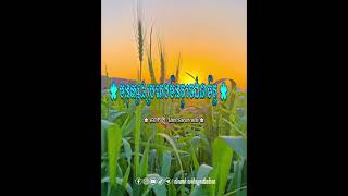 ចូរចំណាំ..មនុស្ស៨ប្រភេទមិនគួរចងជាមិត្ត