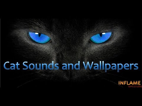 Cats sounds - Apps on Google Play