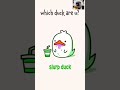 Whick duck are u? 😘😊