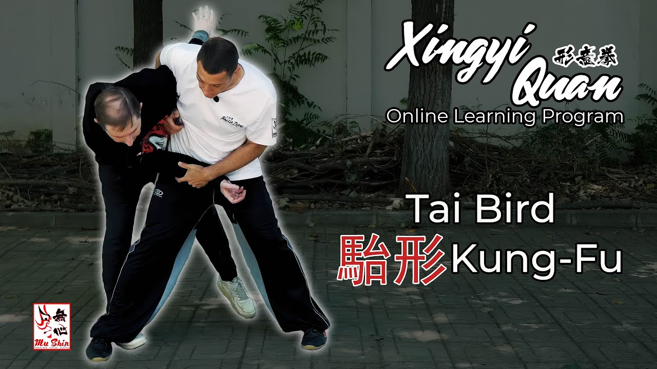 Kung-Fu Bird Style Applications! 