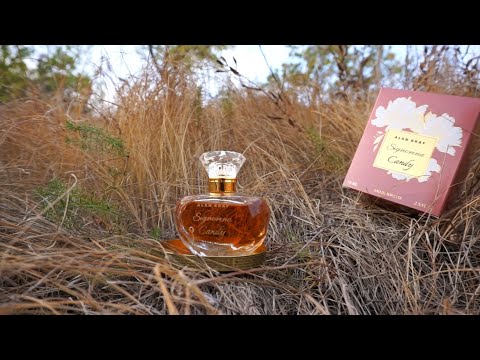 Alan Bray показал мне свой персик 🍑 Signorina Candy Я не против!