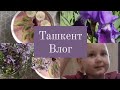 Ташкент Влог