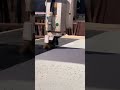 CNC CUTTING #productivity #cncmachine #woodendoordesign #trending