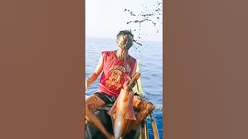 Squid’s Secret Weapon! How It Escapes with Ink 🦑😱#shorts #viral