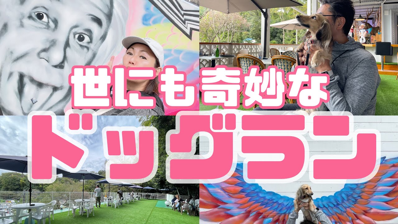 【ドッグラン】世にも奇妙なドッグランに行ってみた。東京都町田市。