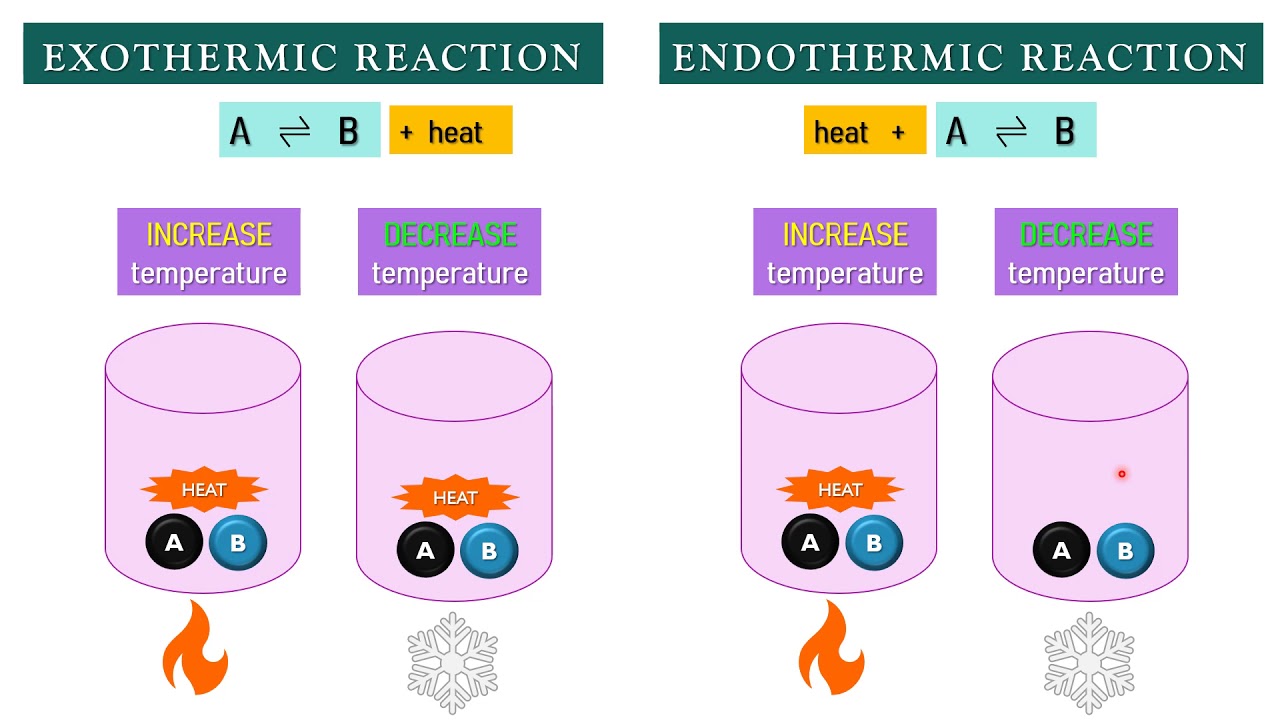 Le Chatelier S Principle Temperature Youtube