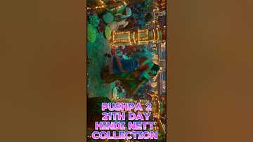 Total Hindi Collection | #shorts #pushpa2 #shortsfeed #salmankhan #alluarjun #babyjohn #sikandar #tk
