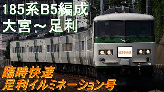 【バイノーラル録音】臨時快速足利イルミネーション号 185系B5編成モハ185-219 大宮～(小山)～足利 全区間走行音