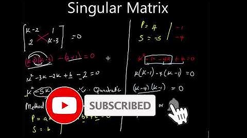 Singular Matrix 2 by 2