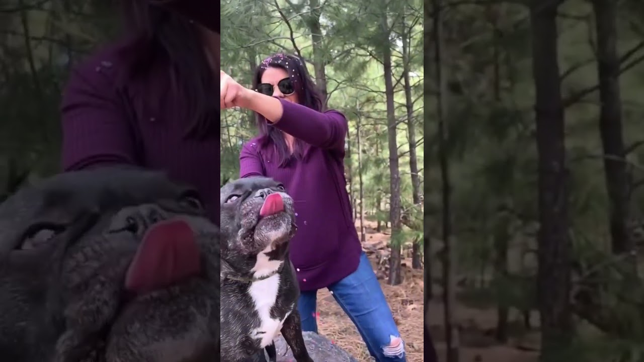 Ever heard of cascarones, or confetti eggs? 