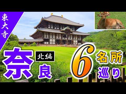 【奈良公園】奈良のおすすめ観光名所6ヶ所、日帰り旅行チャレンジ！北編【興福寺/うな菊/奈良公園バスターミナル/東大寺/奈良ホテル】