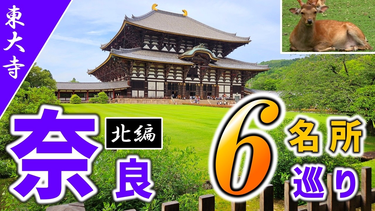 【奈良公園】奈良のおすすめ観光名所6ヶ所、日帰り旅行チャレンジ！北編【興福寺/うな菊/奈良公園バスターミナル/東大寺/奈良ホテル】