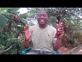 15 Haki Na Utakatifu Kweli 